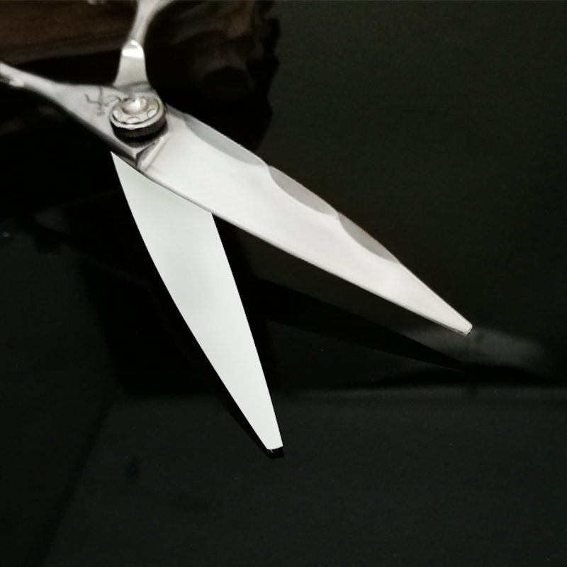 تيتان اليابان الأصلي المهنية م - مراجعة Hair Cutting Scissors Shears Set 6 Inch وسعره