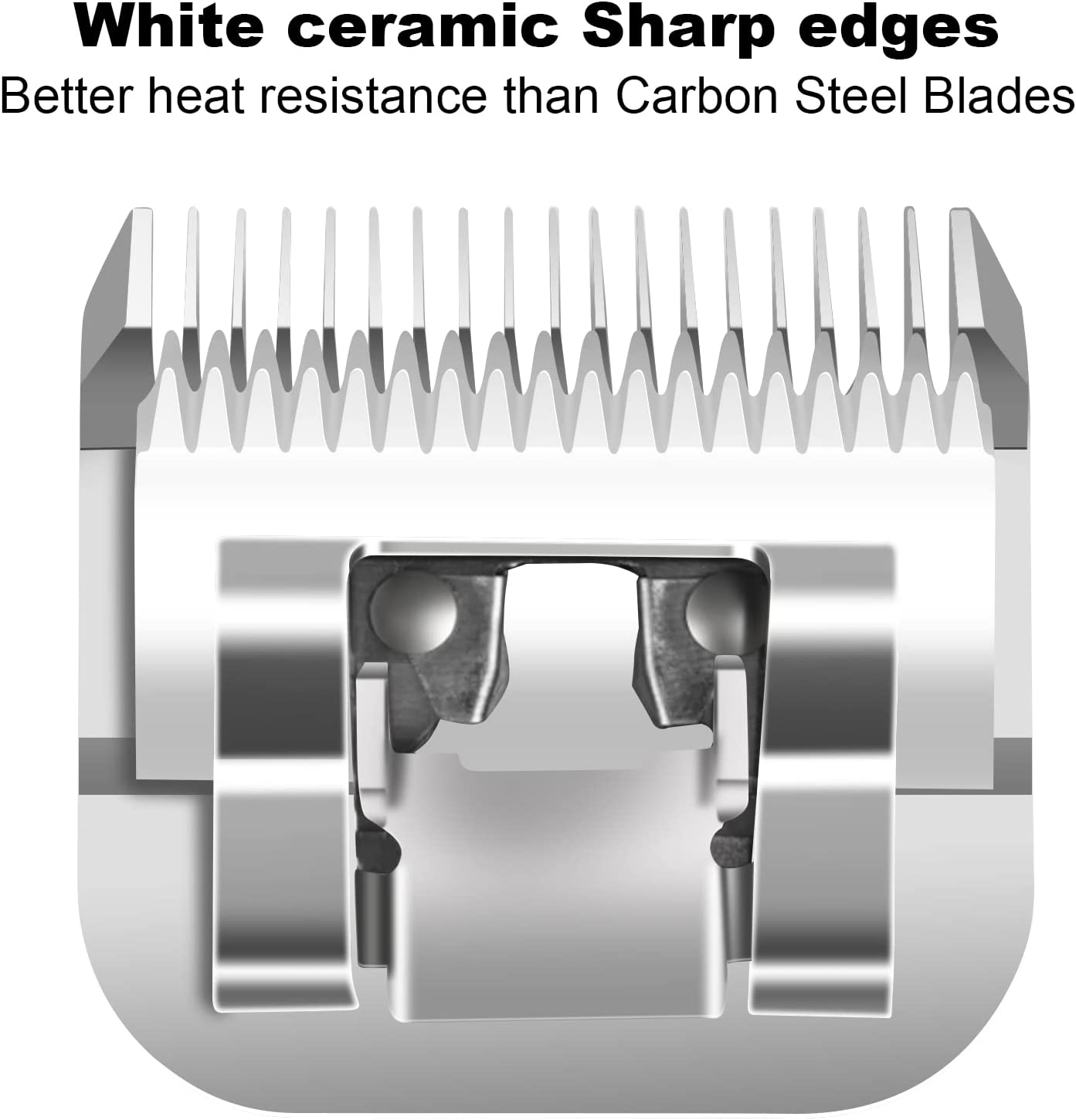 5FC انفصال كلب القط الاستمالة  - مراجعة Hair Clipper Ceramic Blade Replacement وسعره